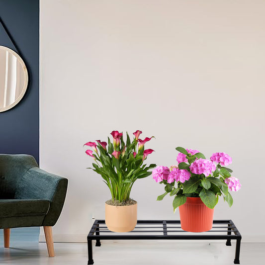 Pack Of 2 Black Matt Black 24 Inches Rectangular Shape Metal Plant Stand, Indoor/Outdoor-Flower Pot Stand Free Standing