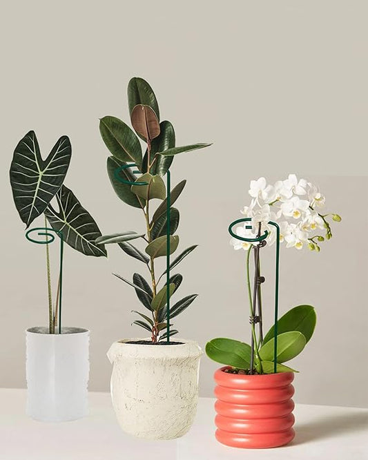 Green 18 Inches Metal Plant, Super Long And Strong Trellis, Plant Support, Strong Metal, Black