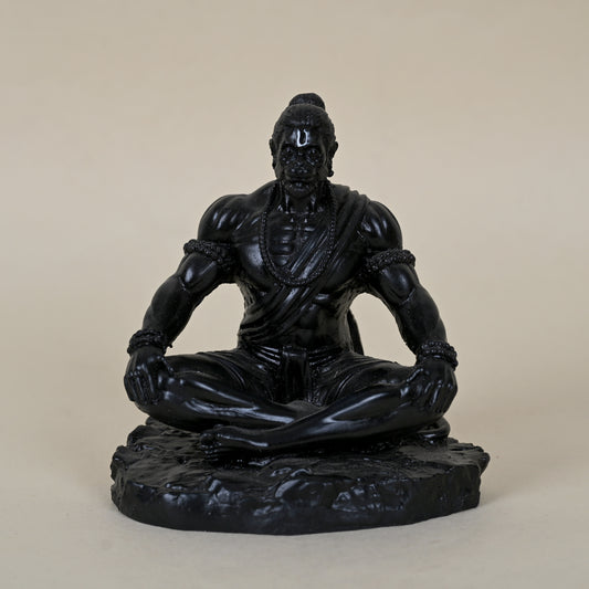 Sadhna Hanuman Idol (Black)