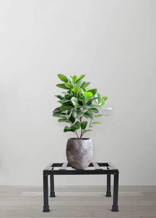 Black Premium Strong Flower Pot / Gamla Square Stand For Indoor And Outdoor Plants | Square Shape Thick And Strong Leg For Garden, Set Of 2