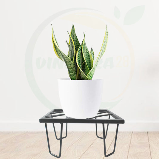 Black Heavy Metal Flower Pot/Plant Stand For Home Garden Balcony Living Room Decor Square Shape (Black-Set Of 2)