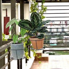 Black Hanging Flower Pot Railing Hanger Heavy Duty Durable Outdoor, Balcony, Terrace Railing Basket Black(Set Of 2)