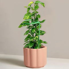 Green  18 Inches Metal Plant, Super Long And Strong Trellis, Plant Support, Strong Metal, Black