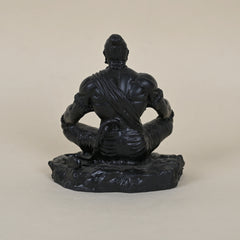 Sadhna Hanuman Idol (Black)
