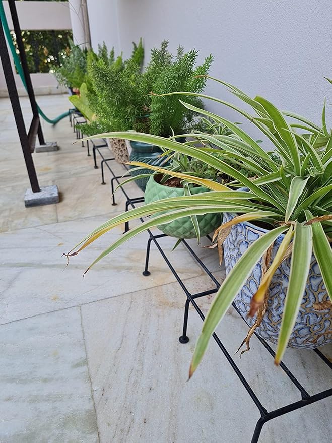 Black Heavy Metal Flower Pot/Plant Stand  For Home Garden Balcony Living Room  Decor 24 Inches (Black-Set Of 2)