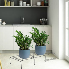 Black  Anti Rust Metal Plant Stand With Bottom Rubber For Balcony Garden, Set Of 4 Pot Stand, Indoor & Outdoor Pot Stand