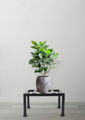 Black  Premium Strong Flower Pot / Gamla Square Stand For Indoor And Outdoor Plants | Square Shape Thick And Strong Leg For Garden,  Set Of 2