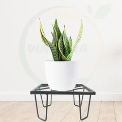 Black Heavy Metal Flower Pot/Plant Stand  For Home Garden Balcony Living Room  Decor Square Shape (Black-Set Of 2)
