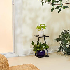 Black Z Shape Plant Stand/Flower Shelf For Garden/Balcony/ Corner Display/Double Decker Window Planted Stand, Black